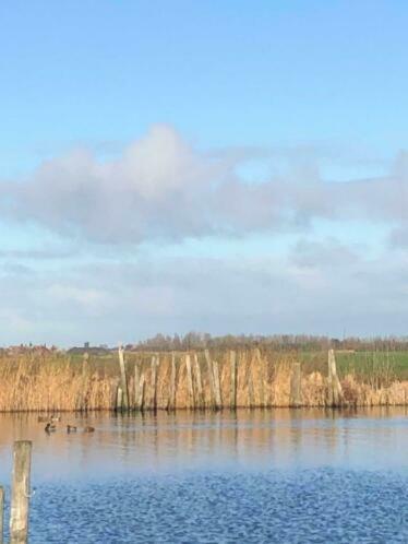 Waterchalet Number 6 Recreationpark Yn'E Lijte Grou Met Ligplaats Boot Vila Exterior foto